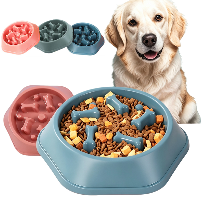 Royal Canin Food Medium - Yavaş Besleyici Köpek Mama Kabı Boğulmayı