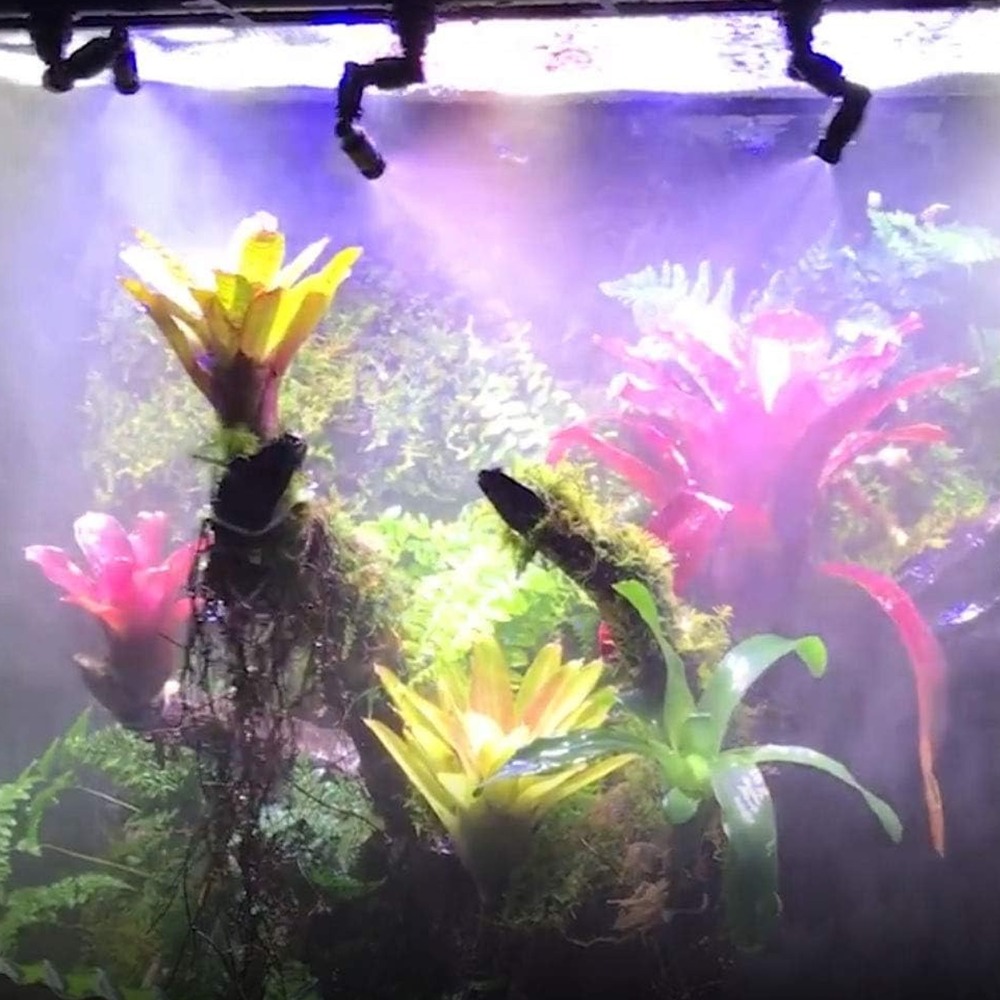PP Reptile Siyah Sisleyici 360 - Misting Nozzle Reptile incelemesi ve fiyatı