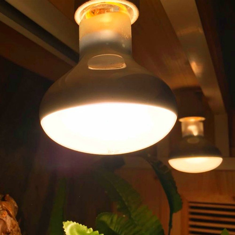 Kertenkele Isıtıcı Sıcaklık Ko - Basking Bulb Halogen incelemesi ve fiyatı