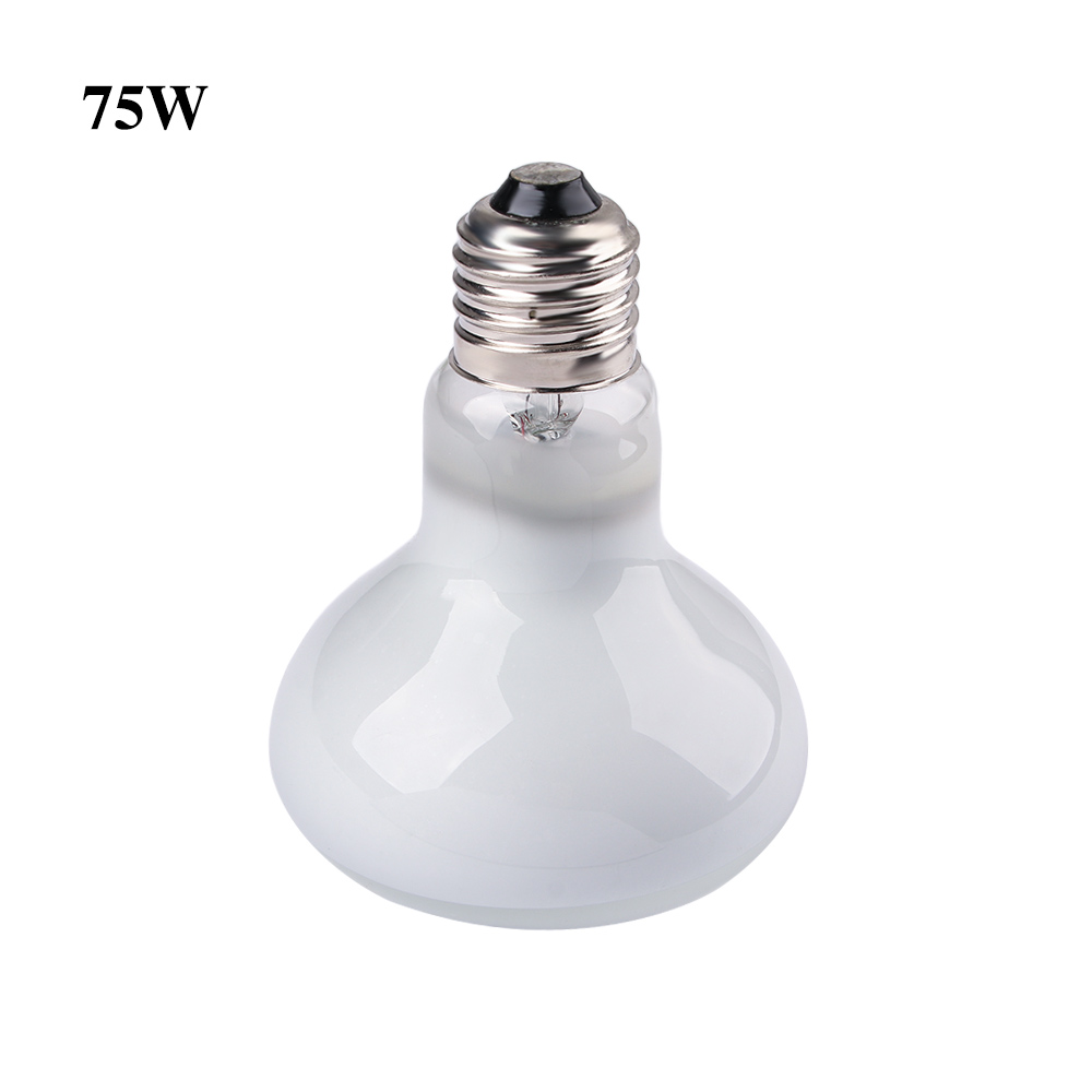 Kaplumbağa Isıtma Lambası Halo - Basking Bulb Halogen incelemesi ve fiyatı