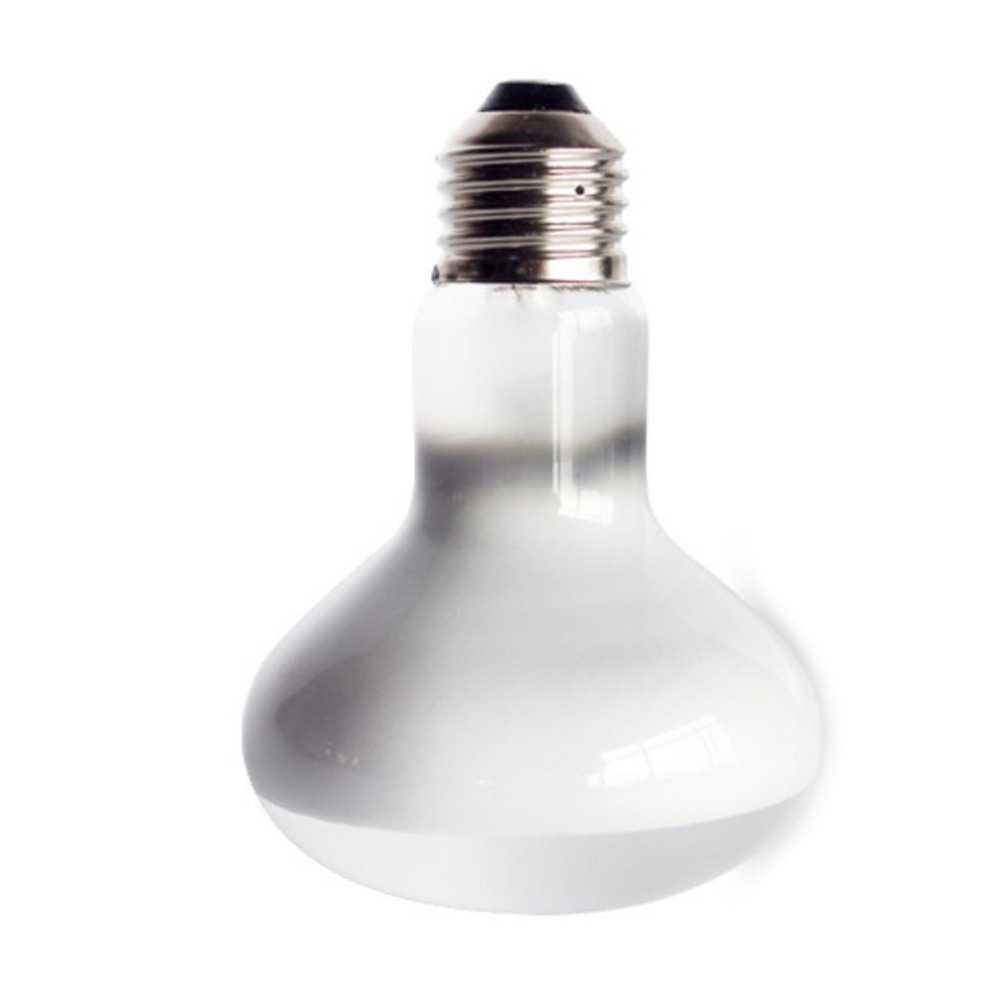 Kaplumbağa Isıtma Lambası Halo - Basking Bulb Halogen incelemesi ve fiyatı