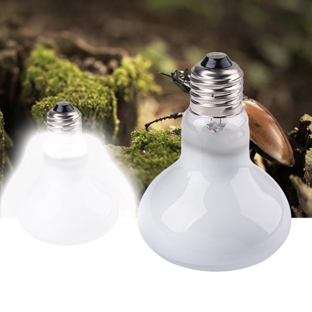 Kaplumbağa Isıtıcı Isı Lambası - Basking Bulb Halogen incelemesi ve fiyatı