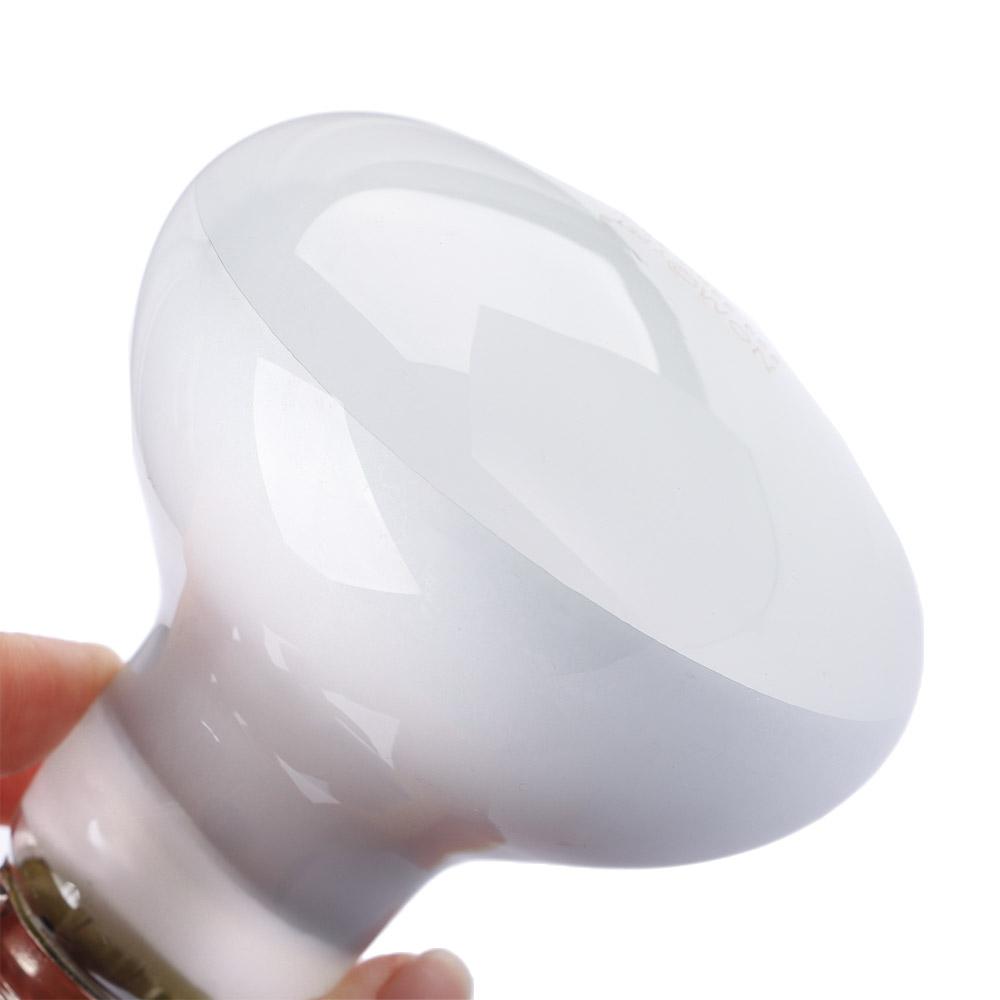 Kaplumbağa Isıtıcı Isı Lambası - Basking Bulb Halogen incelemesi ve fiyatı