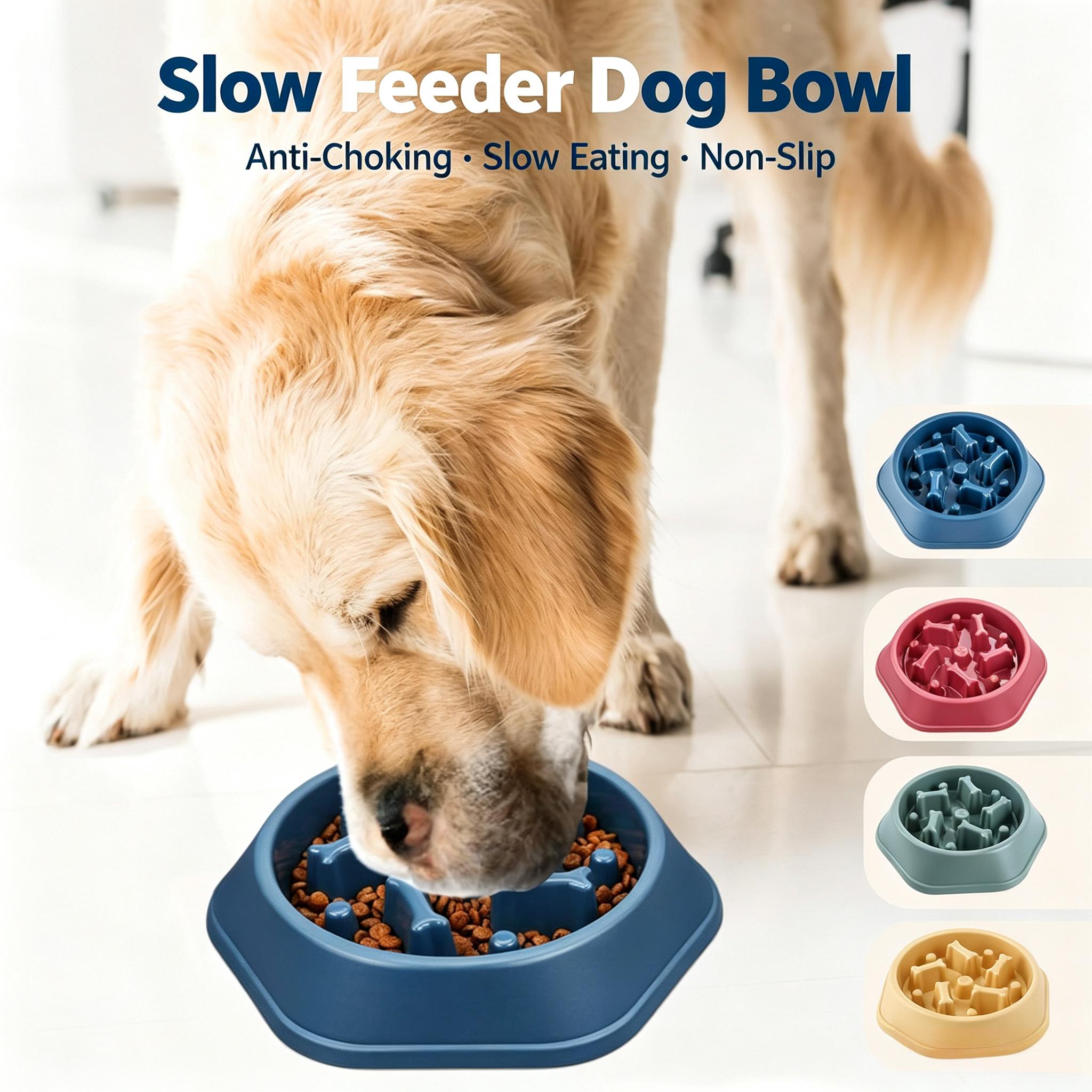Yavaş Besleyici Köpek Mama Kab - Royal Canin Food Medium incelemesi ve fiyatı