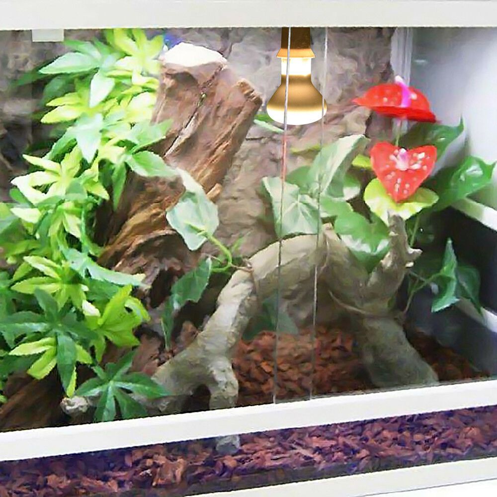 Kaplumbağa Sıcaklık Kontrol Ci - Basking Bulb Halogen incelemesi ve fiyatı