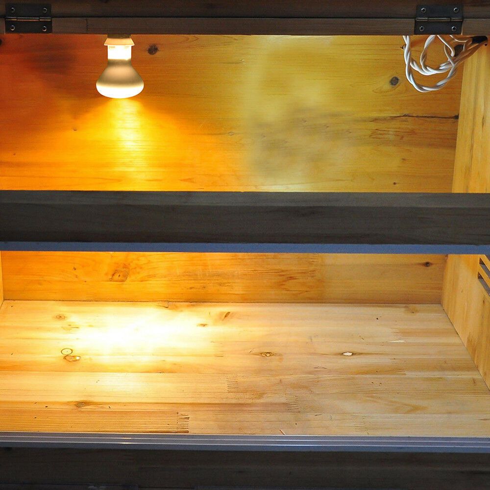 Kertenkele Isıtıcı Sıcaklık Ko - Basking Bulb Halogen incelemesi ve fiyatı