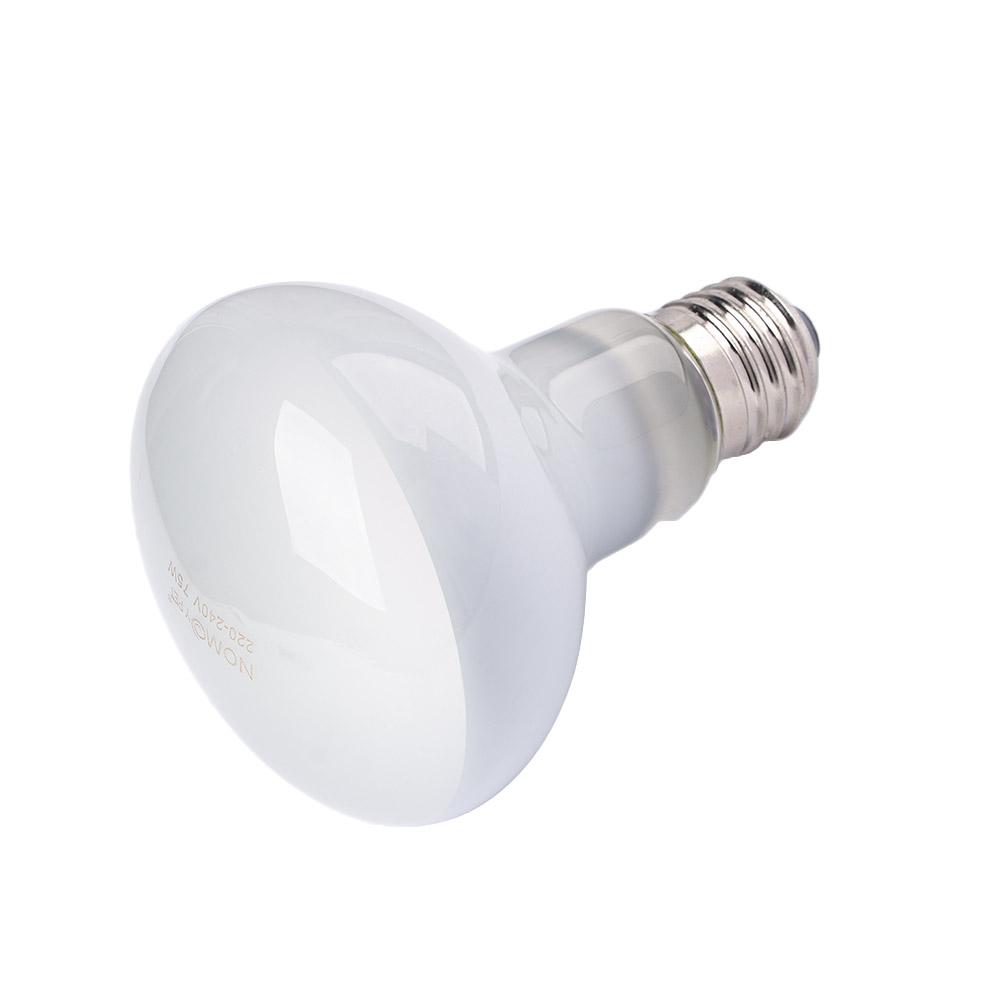 Amfibiler için Isı Lambası Sıc - Basking Bulb Halogen incelemesi ve fiyatı